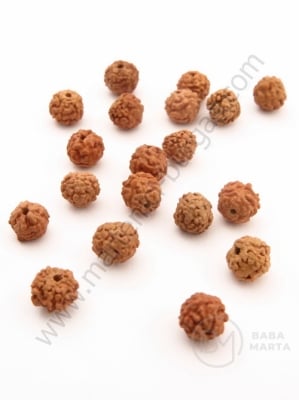 Mărgele de ~6~8mm seeds de Rudraksha 20 buc 355100