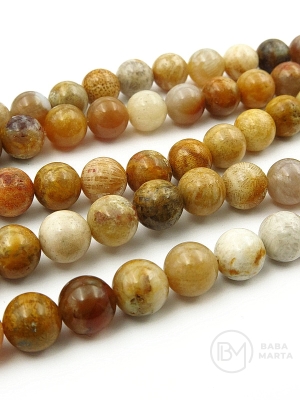 Bilă naturală coral fosil 8mm 39cm ~46 bucăți 1 șir 351236
