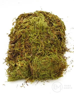 Mușchi natural pentru decor 30 grame 175159
