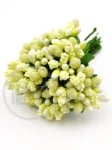 Stamen galbene 12 bucăți 181142