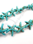 Stea de mare turcoaz 15x5.5mm ~37 buc 1 buc 352211