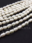 Perlă naturală ~5x~6mm ~35cm ~56 buc 1 bucată 355005