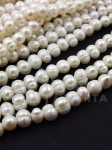 Perlă naturală ~6x~5.3mm ~35cm ~66buc 1 din 355008