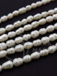 Perlă naturală ~4x~6mm ~35cm ~57 buc 1 din 355036