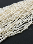 Perlă naturală ~3.9x~3.3mm albă ~35cm ~115 buc 1 șir 355472