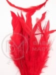 Roșii Penne 10-15cm 1 pachet 181541