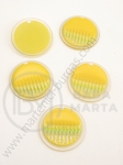 Pendant din rășină 25.5mm gaură 2mm 10 buc 311563