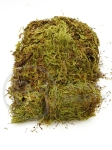 Mușchi natural pentru decor 30 grame 175159